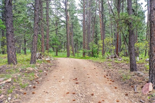 37.2 Acres of Recreational Land & Farm for Sale in Dolores, Colorado