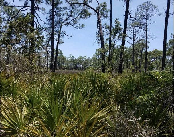 20 Acres of Land for Sale in Cedar Key, Florida