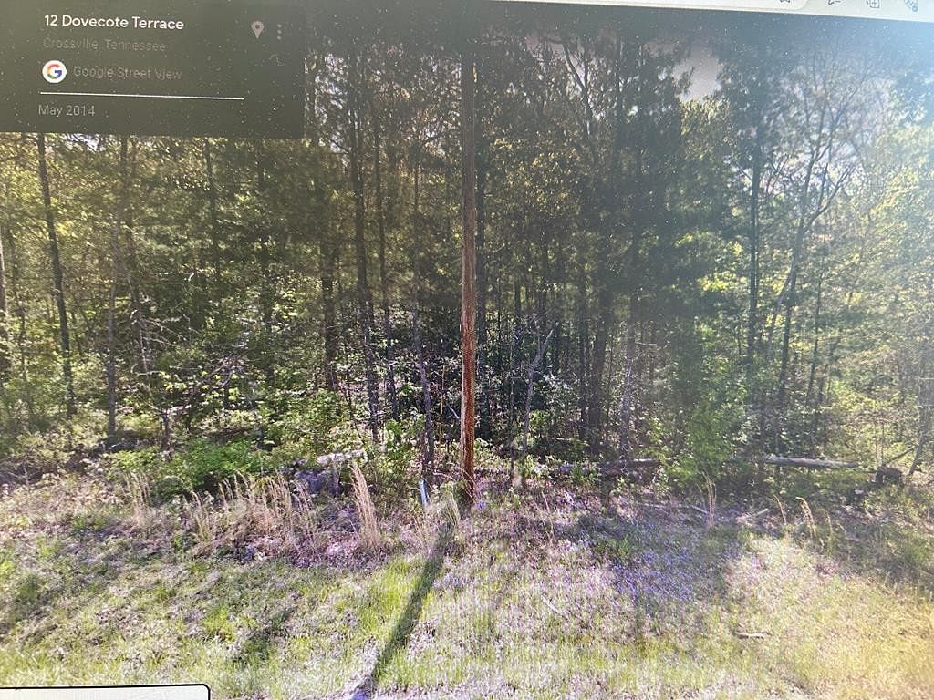 0.29 Acres of Residential Land for Sale in Fairfield Glade, Tennessee