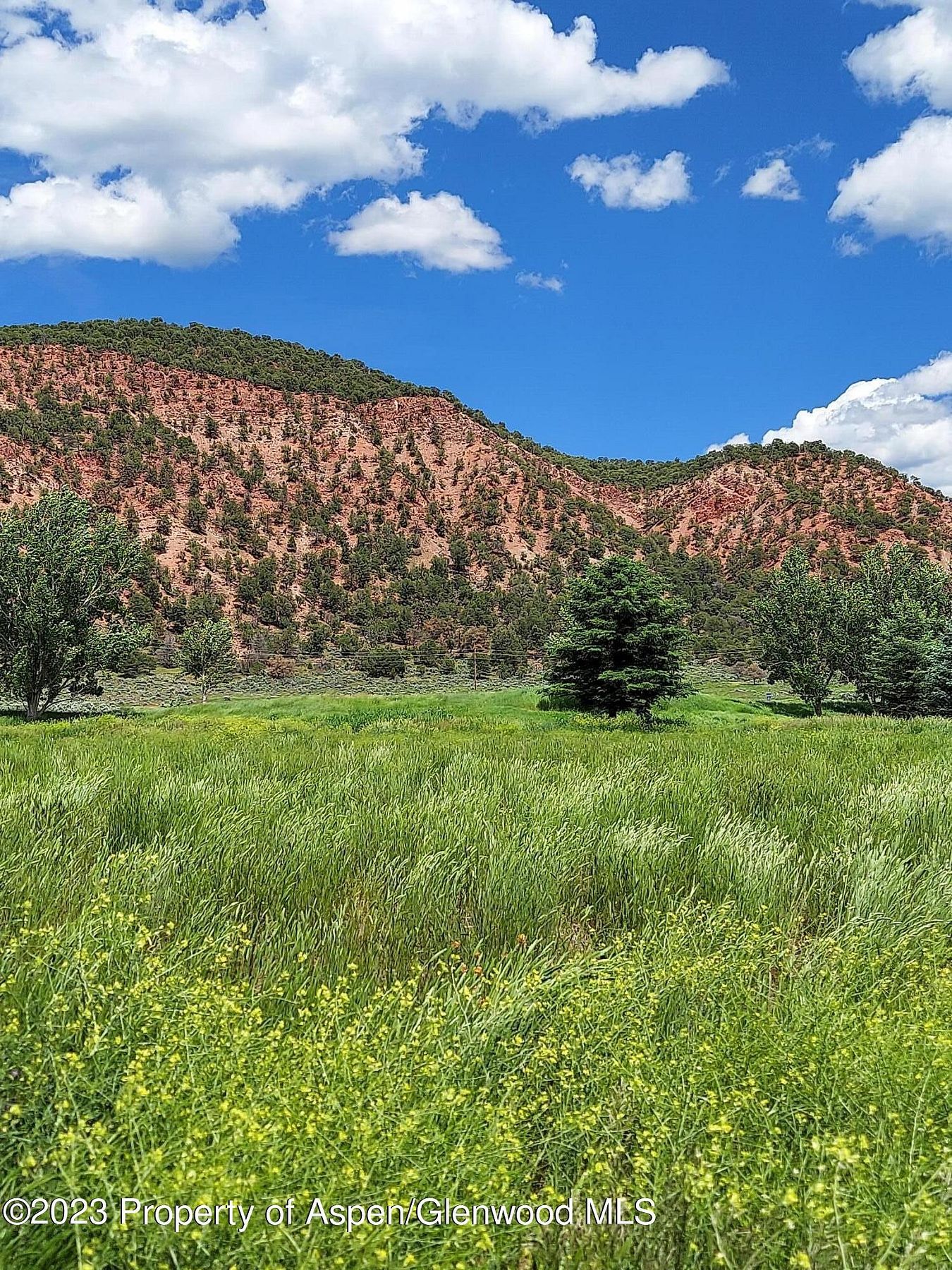 0.51 Acres of Residential Land for Sale in Carbondale, Colorado