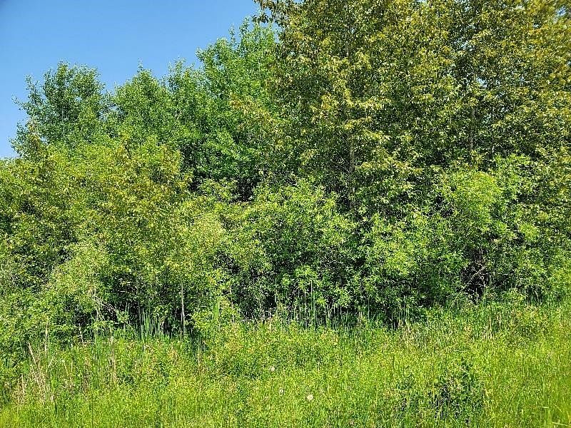 0.28 Acres of Residential Land for Sale in Gladwin, Michigan