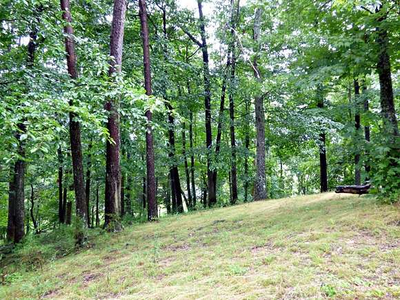 1.1 Acres of Residential Land for Sale in Dandridge, Tennessee