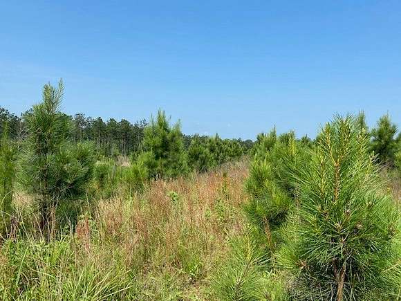 574 Acres of Recreational Land for Sale in Rusk, Texas