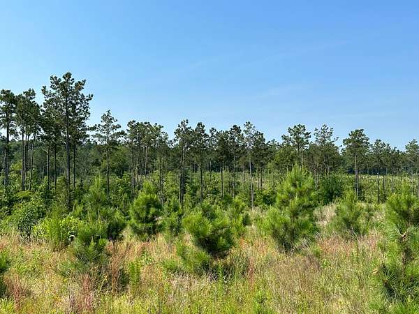 574 Acres of Recreational Land for Sale in Rusk, Texas