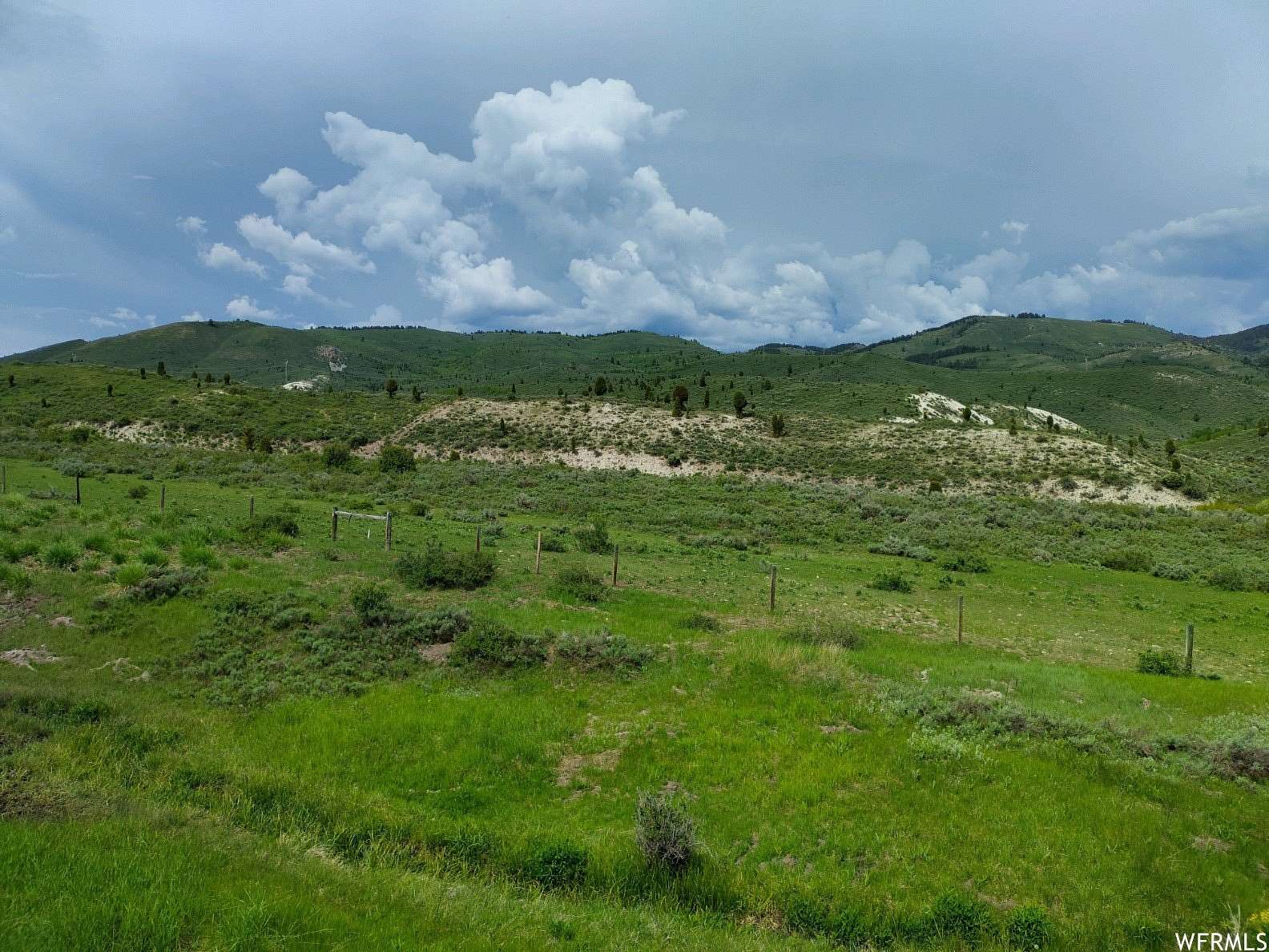 15.6 Acres of Land for Sale in Georgetown, Idaho