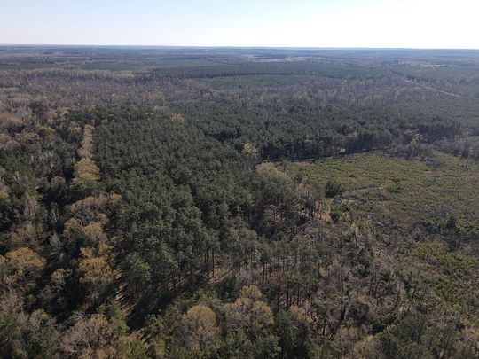 107 Acres of Recreational Land for Sale in Dumas, Arkansas