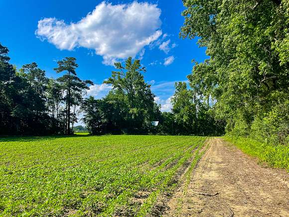 2.6 Acres of Land for Sale in Nichols, South Carolina