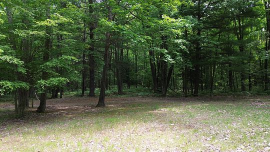 10 Acres of Recreational Land for Sale in Rhodes, Michigan