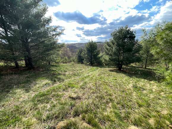 134 Acres of Recreational Land for Sale in Hooversville, Pennsylvania