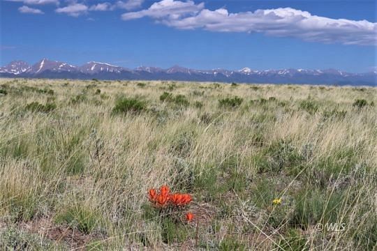 36 Acres of Land for Sale in Westcliffe, Colorado