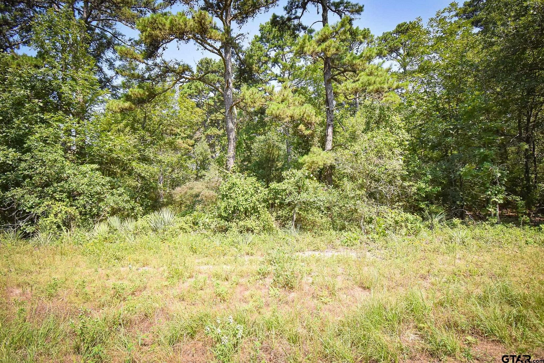 19.8 Acres of Recreational Land for Sale in Winnsboro, Texas