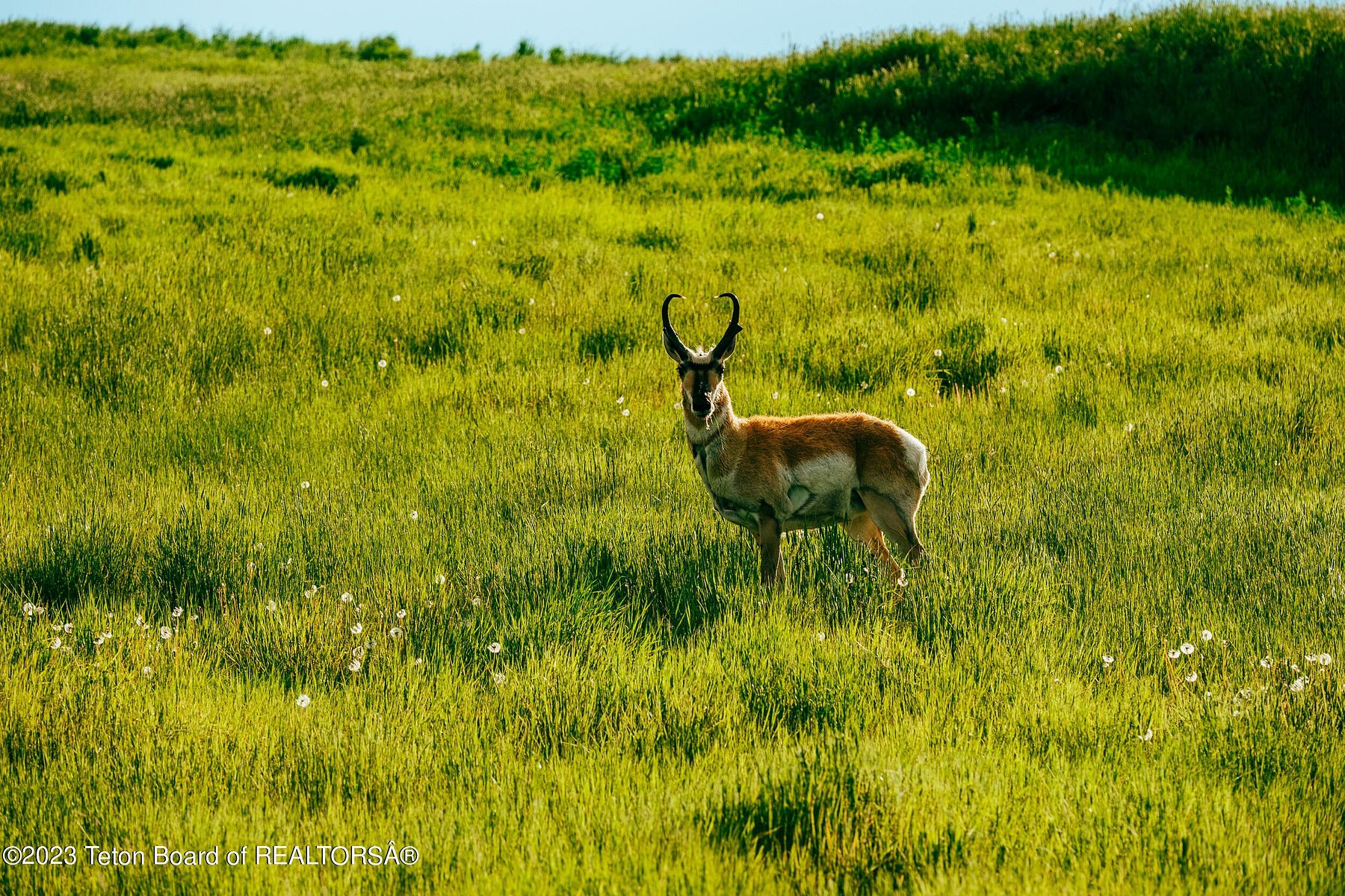 7,600 Acres of Improved Agricultural Land for Sale in Recluse, Wyoming