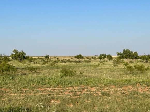 Land for Sale in Shallowater, Texas