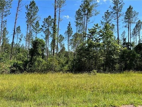 9.2 Acres of Land for Sale in Pollock, Louisiana