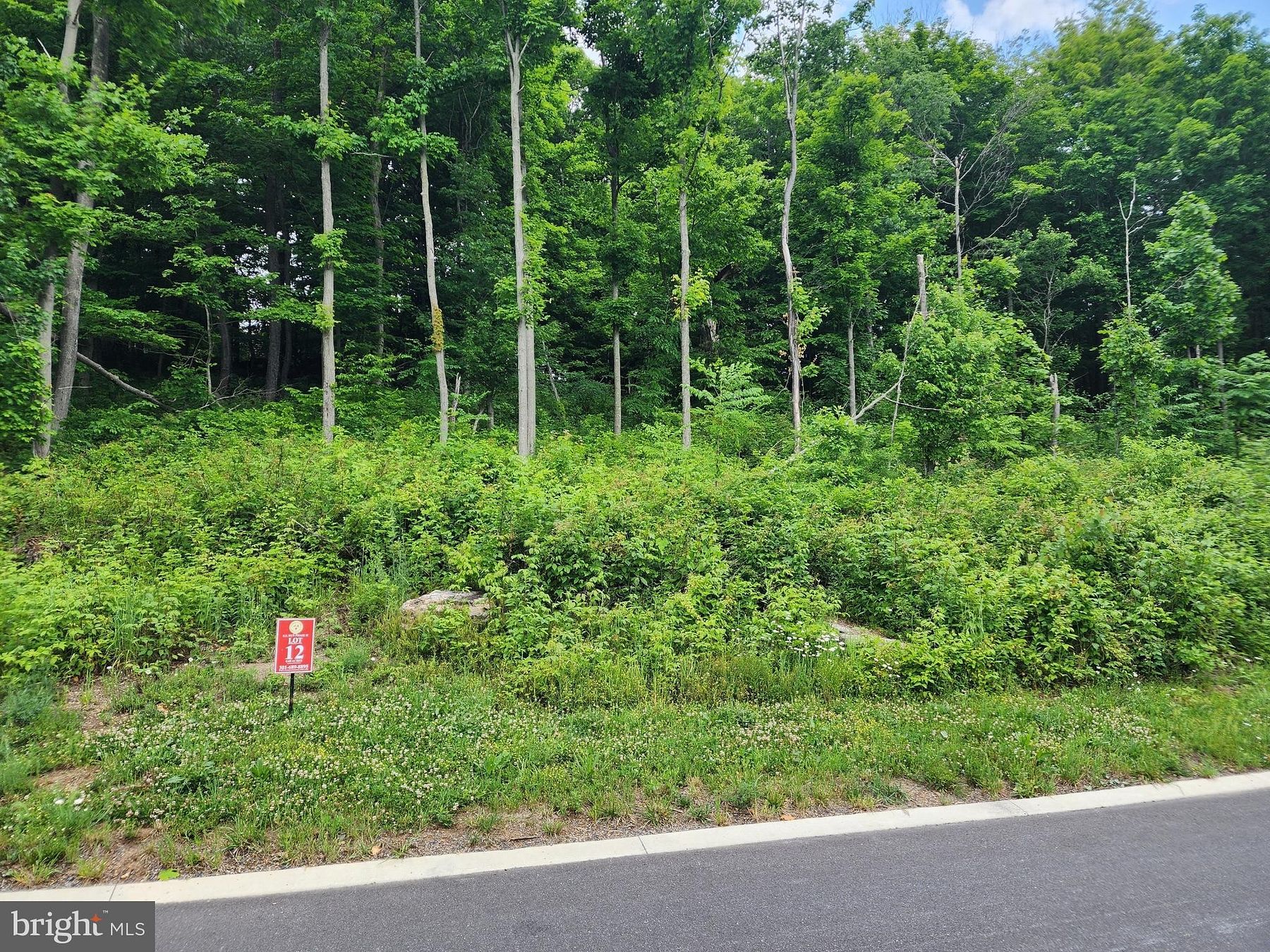 0.68 Acres of Land for Sale in Frostburg, Maryland