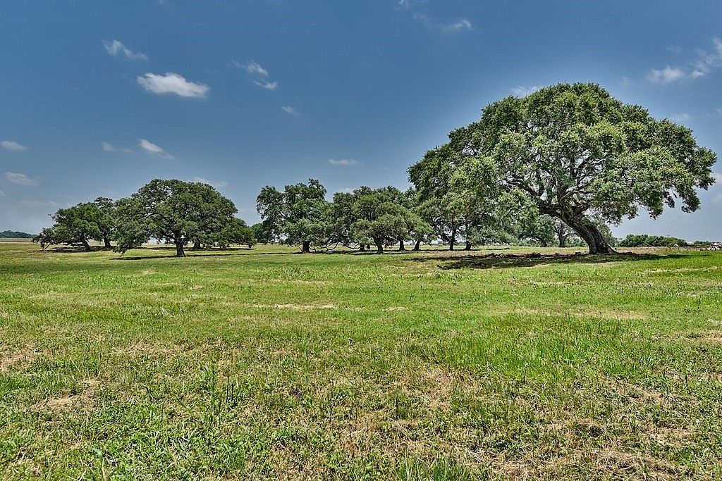 34.2 Acres of Agricultural Land for Sale in Round Top, Texas