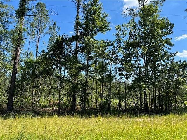 9.8 Acres of Land for Sale in Pollock, Louisiana