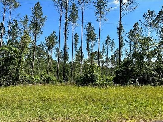 8.96 Acres of Land for Sale in Pollock, Louisiana