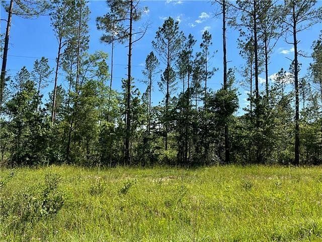 9.5 Acres of Land for Sale in Pollock, Louisiana
