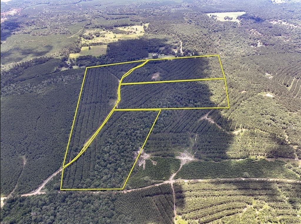 26 Acres of Land for Sale in Woodville, Texas