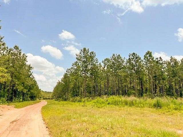 29 Acres of Land for Sale in Woodville, Texas