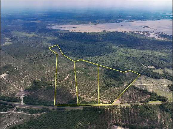 36 Acres of Recreational Land & Farm for Sale in Town Bluff, Texas