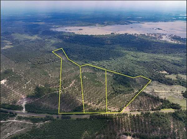 26 Acres of Recreational Land for Sale in Colmesneil, Texas