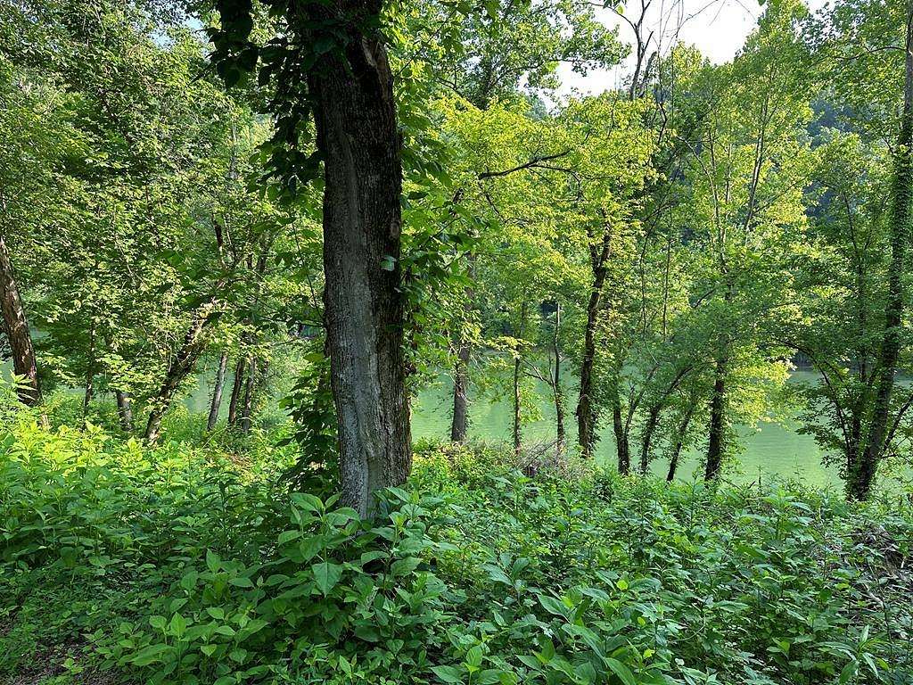 0.8 Acres of Land for Sale in Burkesville, Kentucky