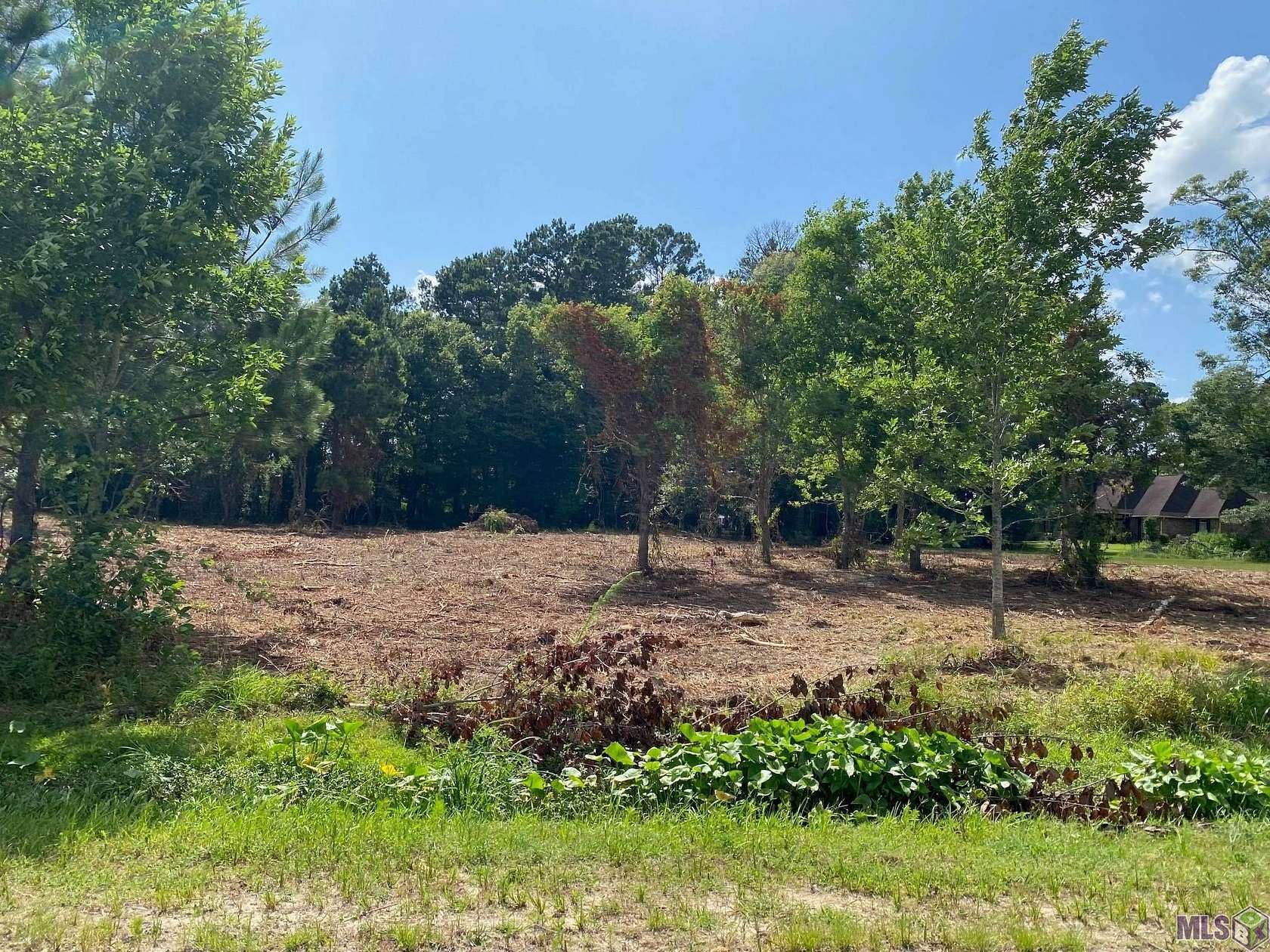 0.66 Acres of Commercial Land for Sale in Prairieville, Louisiana