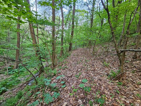 8 Acres of Recreational Land for Sale in Butler, Pennsylvania