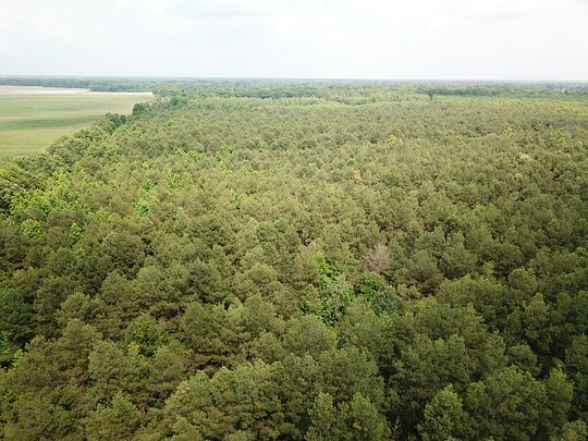 105 Acres of Recreational Land for Sale in Winnsboro, Louisiana