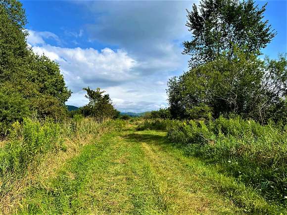256 Acres of Recreational Land with Home for Sale in Wayland, New York