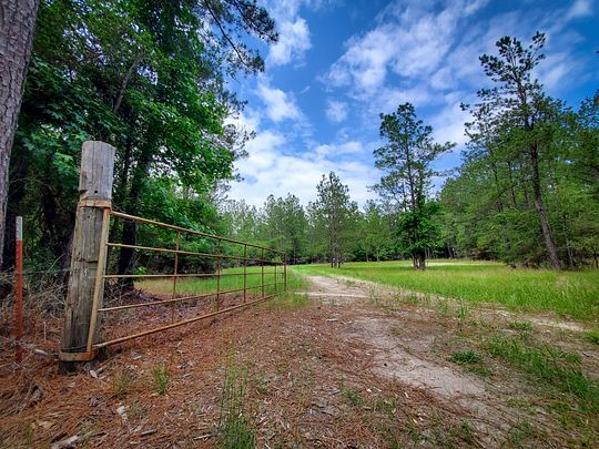 26.5 Acres of Recreational Land & Farm for Sale in Livingston, Texas