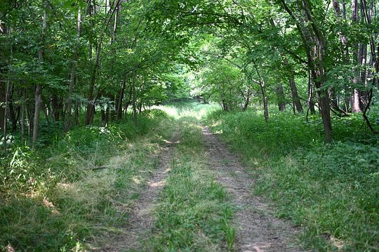40 Acres of Recreational Land for Sale in Allendale, Illinois