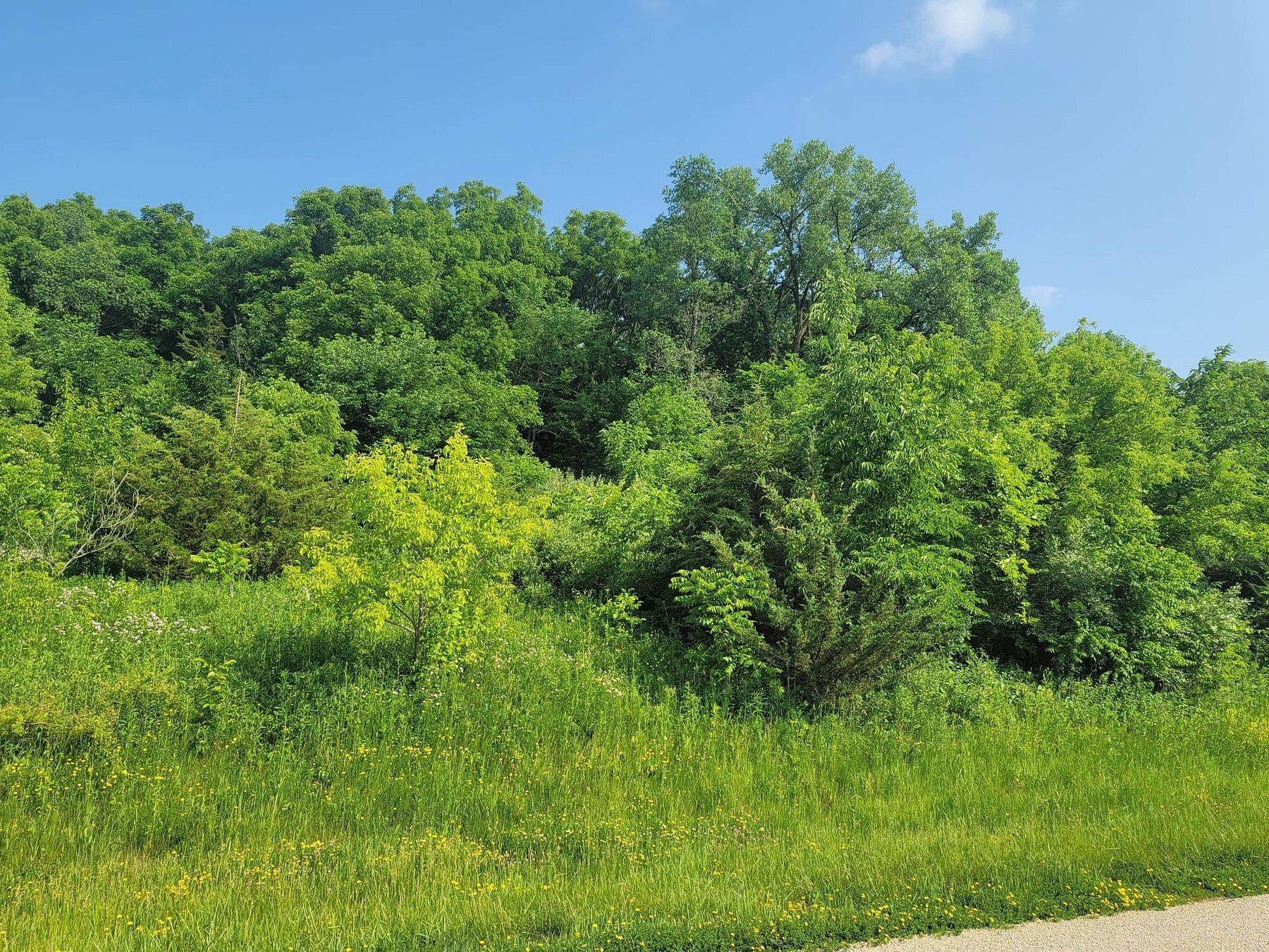 1.1 Acres of Land for Sale in Galena, Illinois