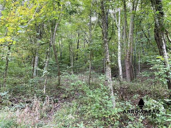 35 Acres of Recreational Land for Sale in Pioneer, Tennessee