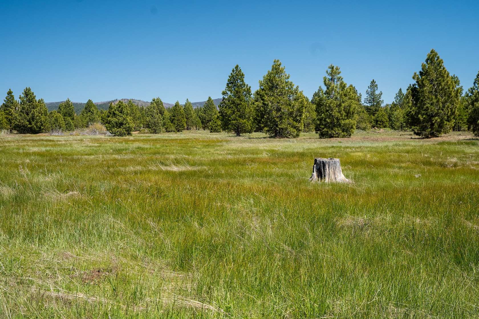 148 Acres of Land for Sale in Westwood, California