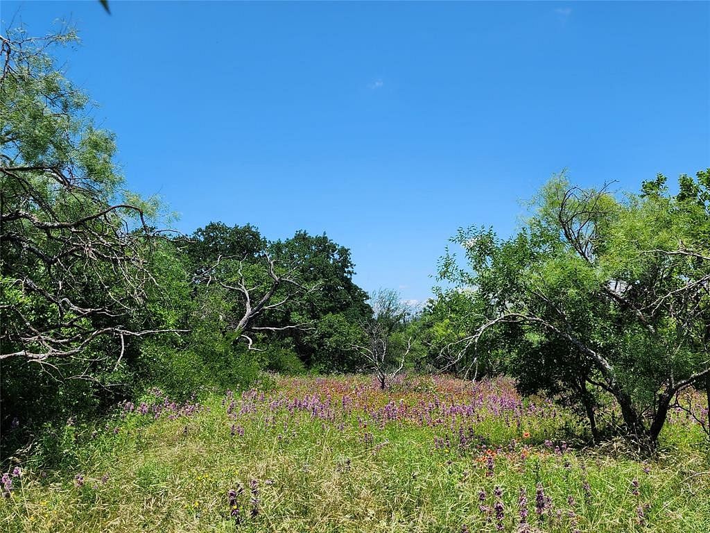 99.4 Acres of Recreational Land for Sale in Rising Star, Texas