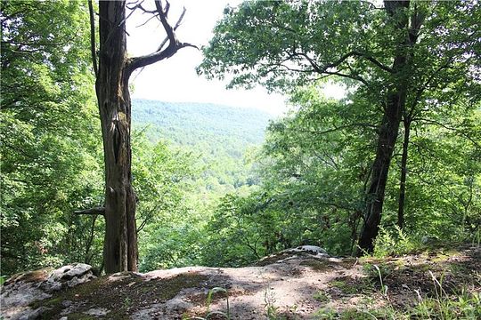 243 Acres of Recreational Land for Sale in Berryville, Arkansas