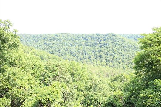 243 Acres Of Recreational Land For Sale In Berryville Arkansas   Berryville Ar 104119210 