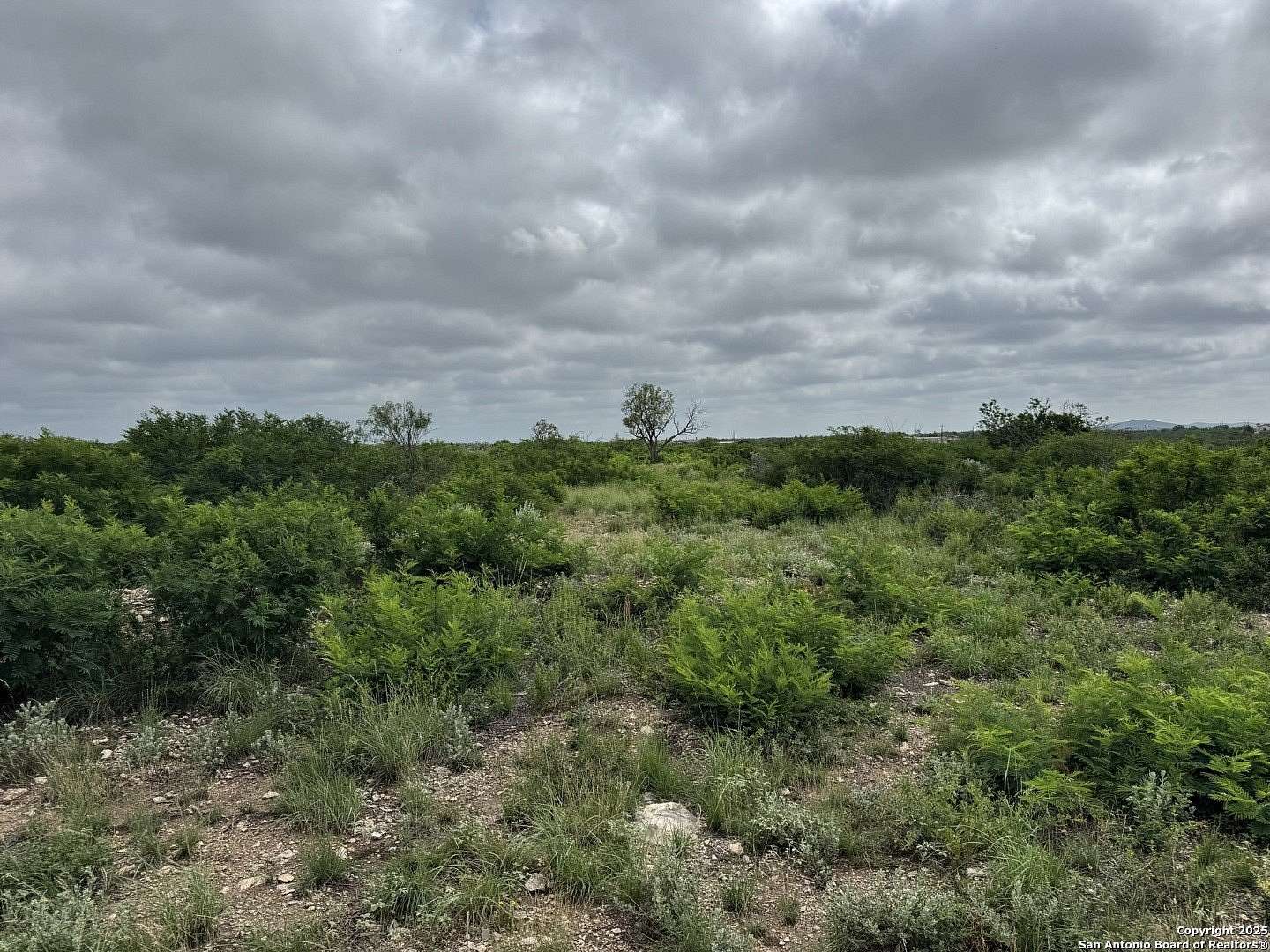 50 Acres of Land for Sale in Uvalde, Texas