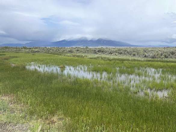78 Acres of Recreational Land for Sale in Alamosa, Colorado