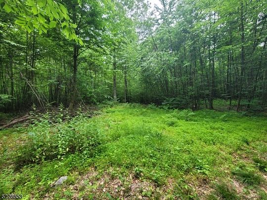 19.81 Acres of Land for Sale in Hampton Township, New Jersey - LandSearch