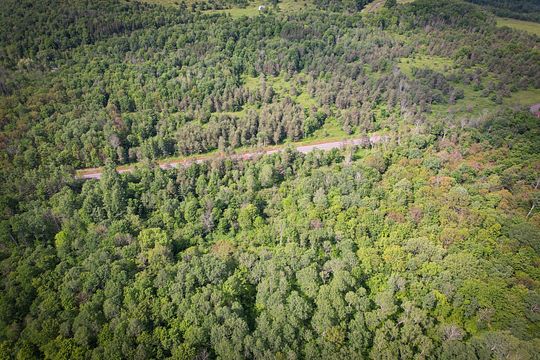 63.6 Acres of Recreational Land for Sale in Erin, New York