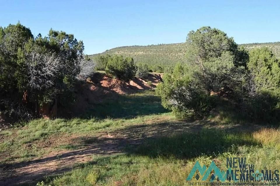 42 Acres of Land for Sale in Las Vegas, New Mexico