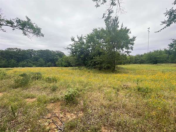 1 Acre of Residential Land for Sale in Sulphur Springs, Texas