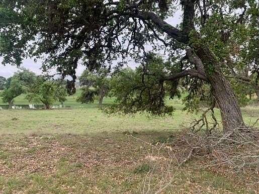 0.321 Acres of Residential Land for Sale in Blanco, Texas