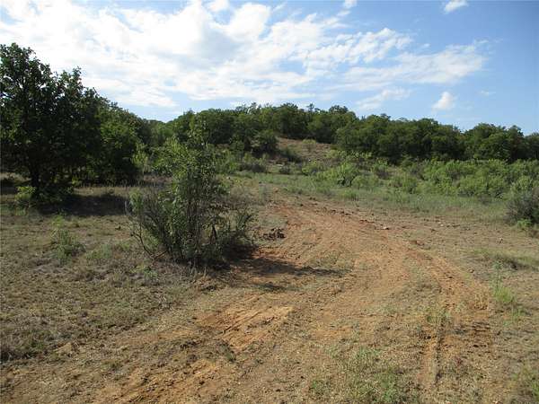 80 Acres of Land for Sale in Loving, Texas