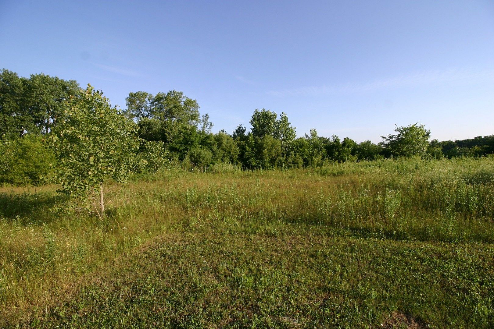 19.88 Acres of Land for Sale in Crete, Illinois