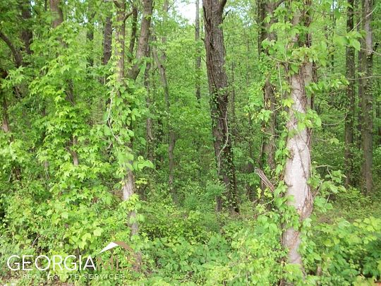 7 Acres of Land for Sale in Monroe, Georgia